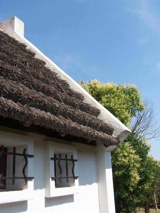 Mas dou l'Estele chambre d'hôtes Arlés Exterior foto